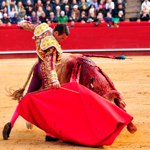 Toros Valencia