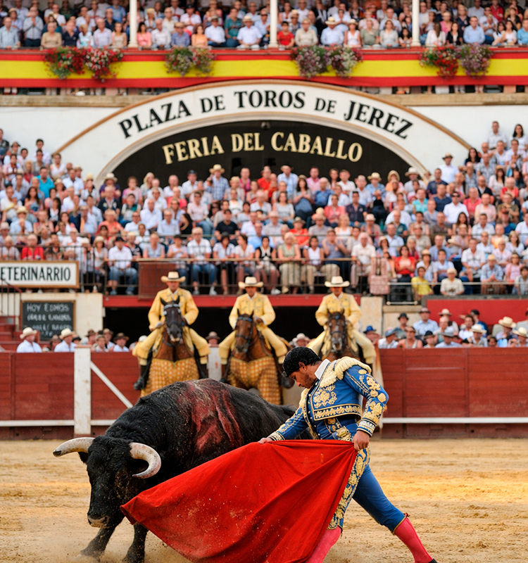 Torero en la Plaza de Toros de Jerez durante la Feria del Caballo de Jerez 2026